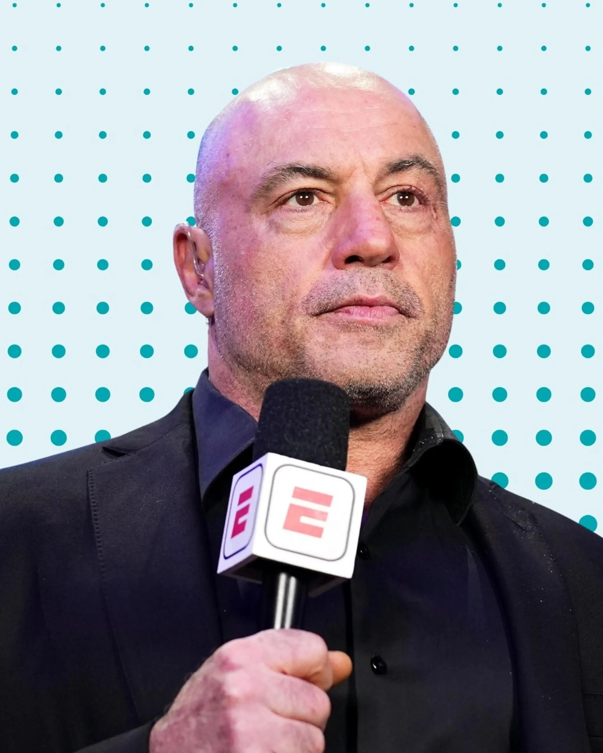 Joe Rogan career